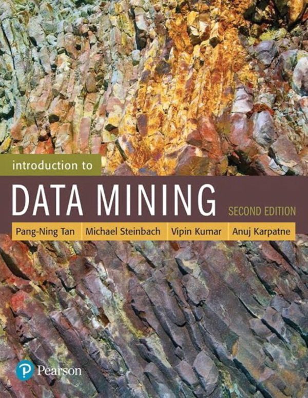 Introduction to Data Mining 2E 2nd Edition