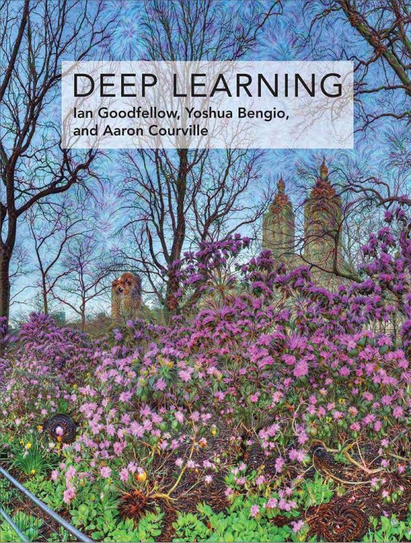 Deep Learning (Adaptive Computation and Machine Learning Series) 1E 1st Edition