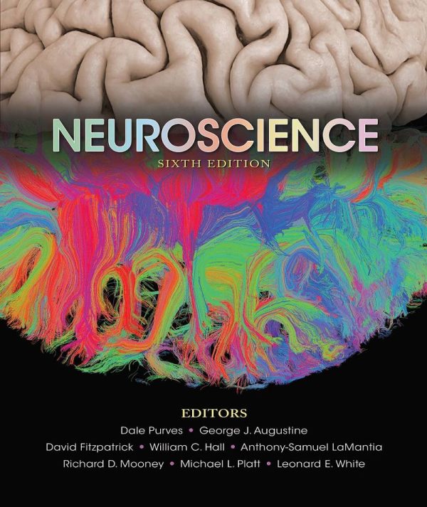 Neuroscience 6th 6E Edition